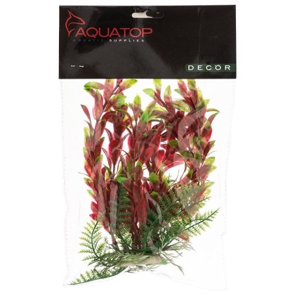 Aquatop Hygro Aquarium Plant - Red & Green - 6