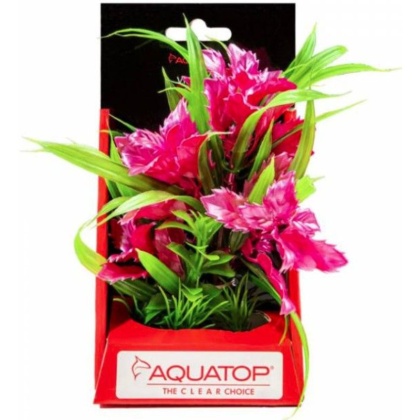 Aquatop Vibrant Passion Aquarium Plant Rose - 6