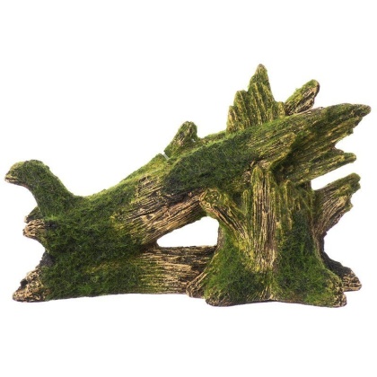 Exotic Environments Fallen Moss Covered Tree - 8