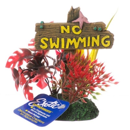 Exotic Environments No Swimming Sign - Small - (3.5