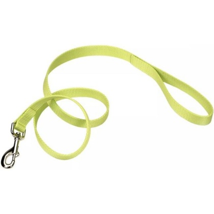 Coastal Pet Single-Ply Nylon Dog Leash Lime Green - 4 feet x 3/8\