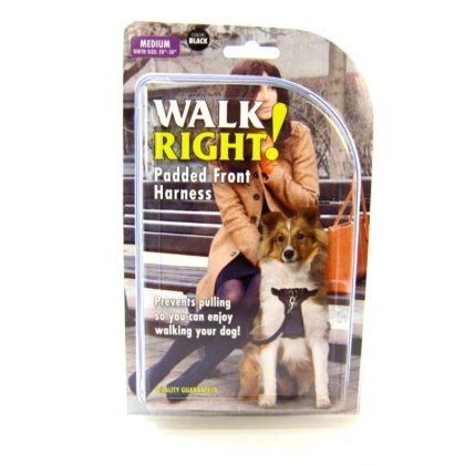 Coastal Pet Walk Right Padded Harness - Black - Medium (Girth Size 20\