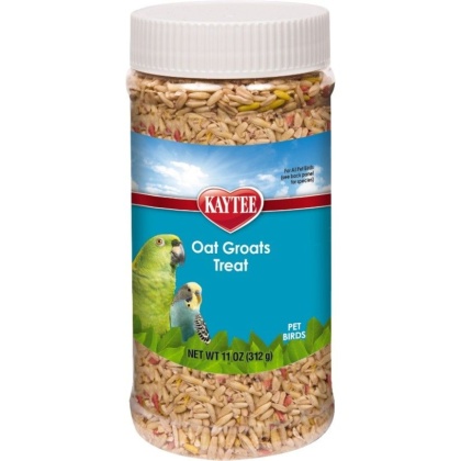 Kaytee Forti-Diet Pro Health Oat Groats Treat - All Birds - 11 oz