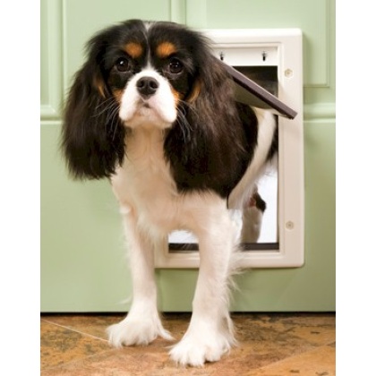 PetSafe Plastic Dog Door - Small