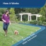 PetSafe Basic In-Ground Pet Fence ? Includes TWO Waterproof Collars