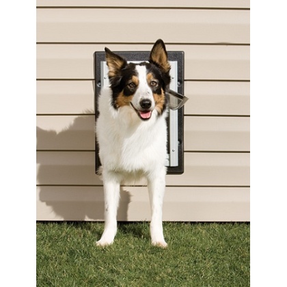 PetSafe Wall Dog Door - Medium