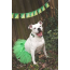 Green - Green Christmas Dog Tutu Skirt (Small) - Small