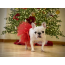 Red - Red Christmas Dog Tutu Skirt (Small) - Small