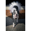 White - White Bridal Dog Tutu Skirt (XL) - XL