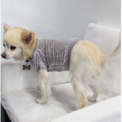 Coco - Doggy Tee - XS