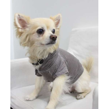 Coco - Doggy Hoodie - Large