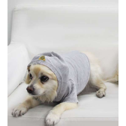 Asphalt - Doggy Hoodie French Terry - Large