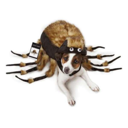 Brown - ZZ Fuzzy Tarantula Costume - Large