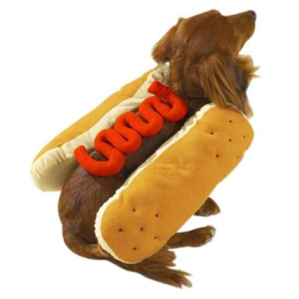 Mustard - Casual Canine Hot Diggity Dog Costume   - Small