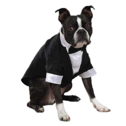 White - East Side Coll Yappily Ever After Groom Tux  - Large