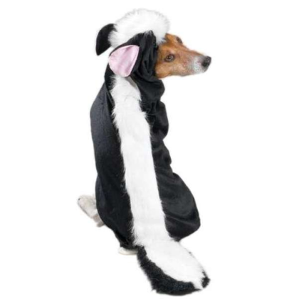 Casual Canine Lil\' Stinker Costume  - Medium