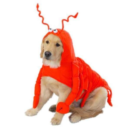 Casual Canine Lobster Paws Costume  - Large