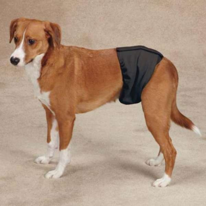 Black - Clean Go Pet Washable Male Wrap  - Medium