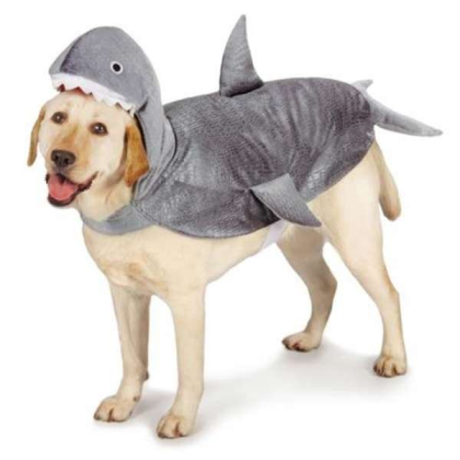 CC Shark Costume  - Small