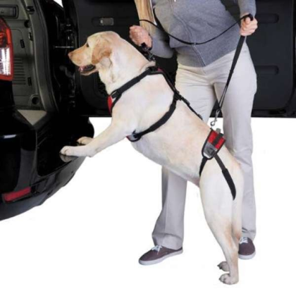 Red - Total Pet Health Lift & Go Lead - Medium