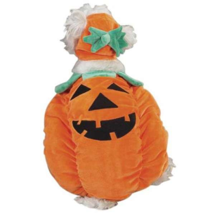 Orange - Zack & Zoey Pumpkin Pooch Costume - Medium