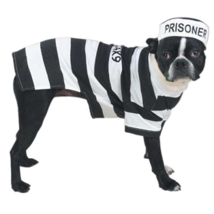 Casual Canine Prison Pooch Costume  - XL