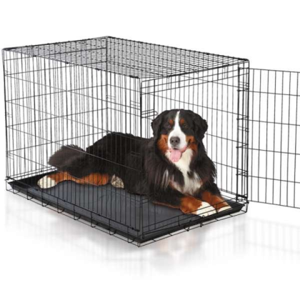 Black - Easy Crate - Medium/Large