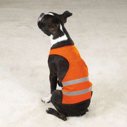 Orange - GG Safety Vest - Large