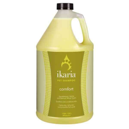 White - IK Shampoo Comfort Gallon - 1 Gallon