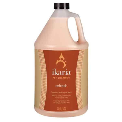 White - IK Shampoo Refresh Gallon - 1 Gallon