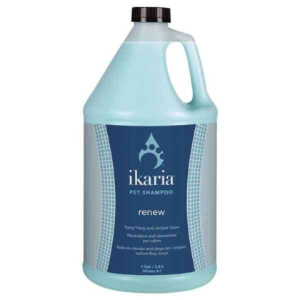 White - IK Shampoo Renew Gallon - 1 Gallon