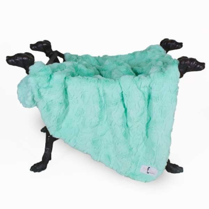 Mint - Bella Dog Blanket - Large