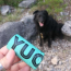 Teal - Yucky Puppy Biodegradable Poop Bags