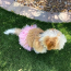 Pink - Pink Pom Pom Dog Tutu Skirt (XS) - XS