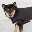 Black - GF Pet Reversible Elasto-Fit Chalet Jacket - 2XL