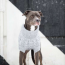 Grey - GF Pet Chalet Dog Sweater  - Large