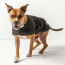 Black - GF Pet Dog Blanket Jacket - Small