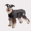 Black - GF Pet Dog Blanket Jacket - XL