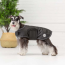 Black - GF Pet Dog Blanket Jacket - XL