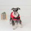 Red - GF Pet Dog Blanket Jacket - Large