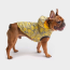 Yellow - GF Pet Reversible ElastoFit Raincoat  - 2XS