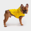 Yellow - GF Pet Reversible ElastoFit Raincoat  - Medium