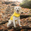 Yellow - GF Pet Reversible ElastoFit Raincoat  - XS