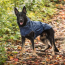 Navy - GF Pet Reversible ElastoFit Raincoat  - XS