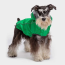 Green - GF Pet Reversible ElastoFit Raincoat  - Medium