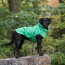 Green - GF Pet Reversible ElastoFit Raincoat  - XS