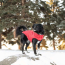 Red - GF Pet Reversible ElastoFit Chalet Jacket - 2XS