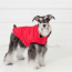 Red - GF Pet Reversible ElastoFit Chalet Jacket - Large