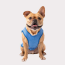 Blue - GF Pet ElastoFit Ice Vest - XL