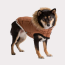 Caramel - GF Pet ElastoFit Urban Dog Parka  - 2XL